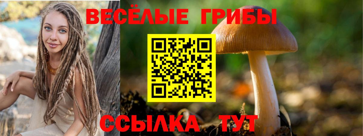 Галлюциногенные грибы GOLDEN TEACHER Знаменск
